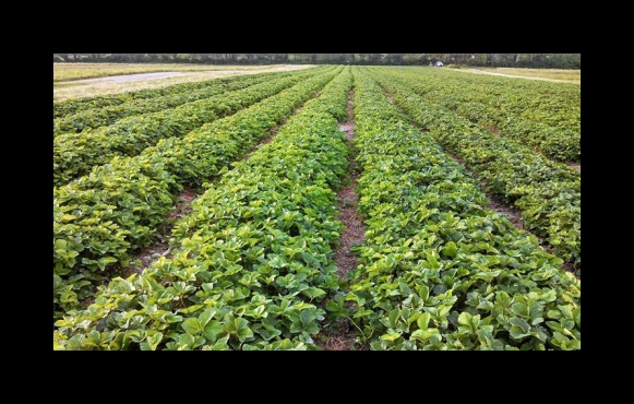 Waterman's Family Farm