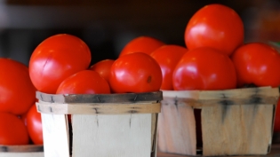 Cherry tomatoes in a basket